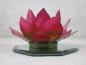 Preview: Lotuslicht, Lotusblüte als Teelichthalter, Farbe pink-gelb, Windlicht