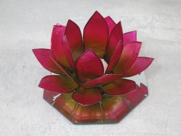 Lotuslicht, Lotusblüte als Teelichthalter, Farbe pink-gelb, Windlicht