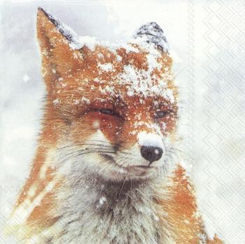 Winter Fox, Lunch Servietten, IHR Ideal Home Range