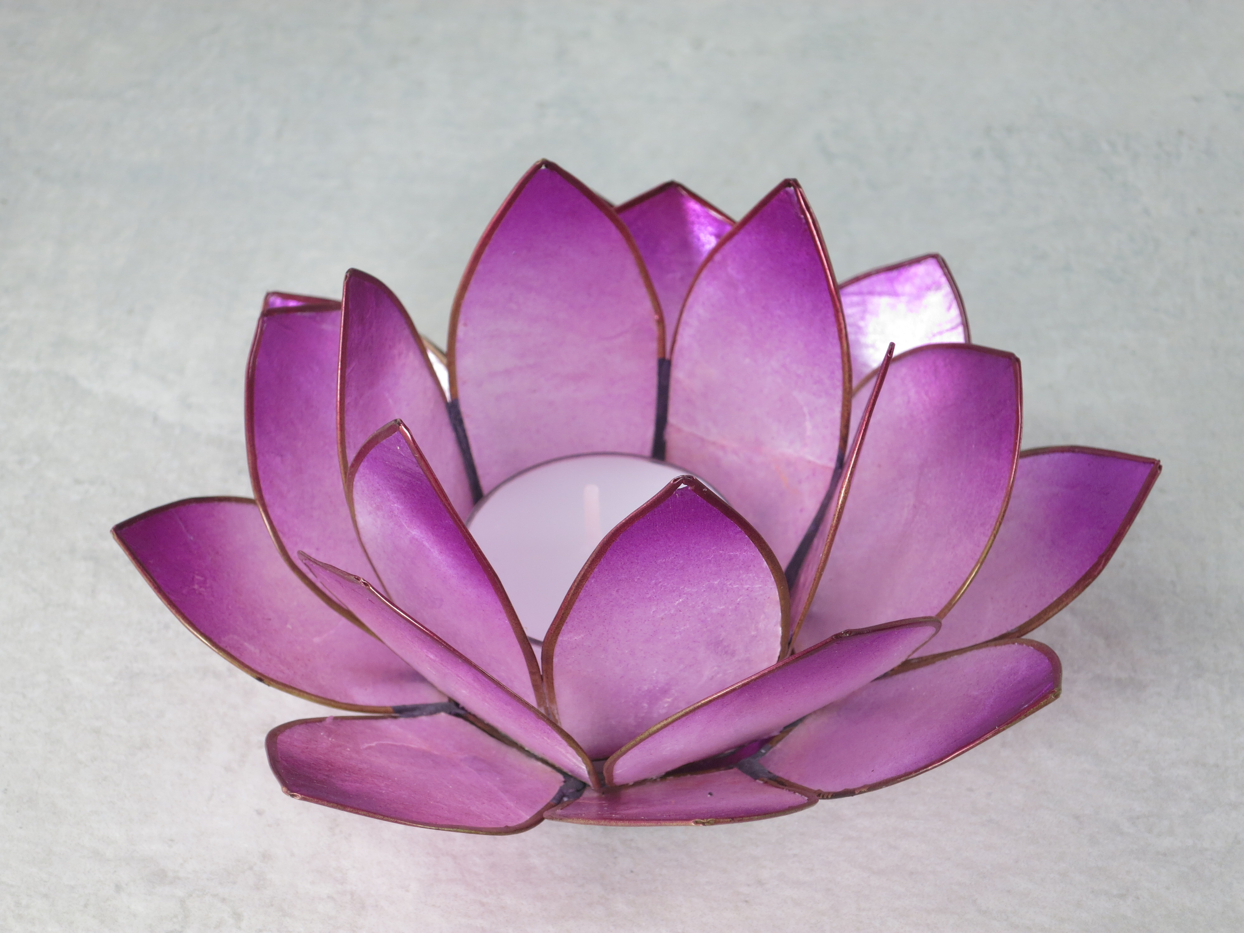 Windlicht transparent Capiz Muschel bunt farbig Kerze Lotusblüte Teelichter 