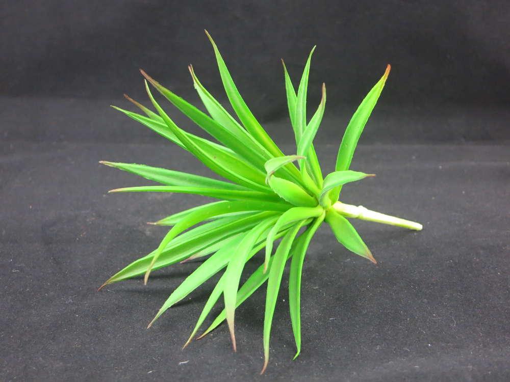 Yucca Pflanze, Länge 19 cm, Dekoration, Künstliche Pflanze