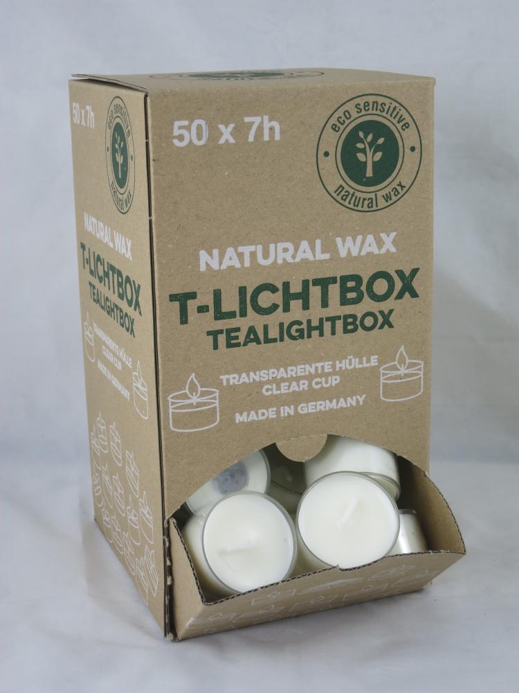 Teelichter Box Nature Lights Rapswachs, 50 Stück, Brenndauer 7 Std., Wenzel