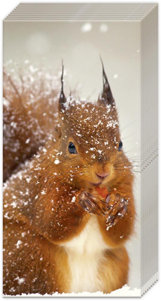 Winter Squirrel, Papiertaschentücher, IHR Ideal Home